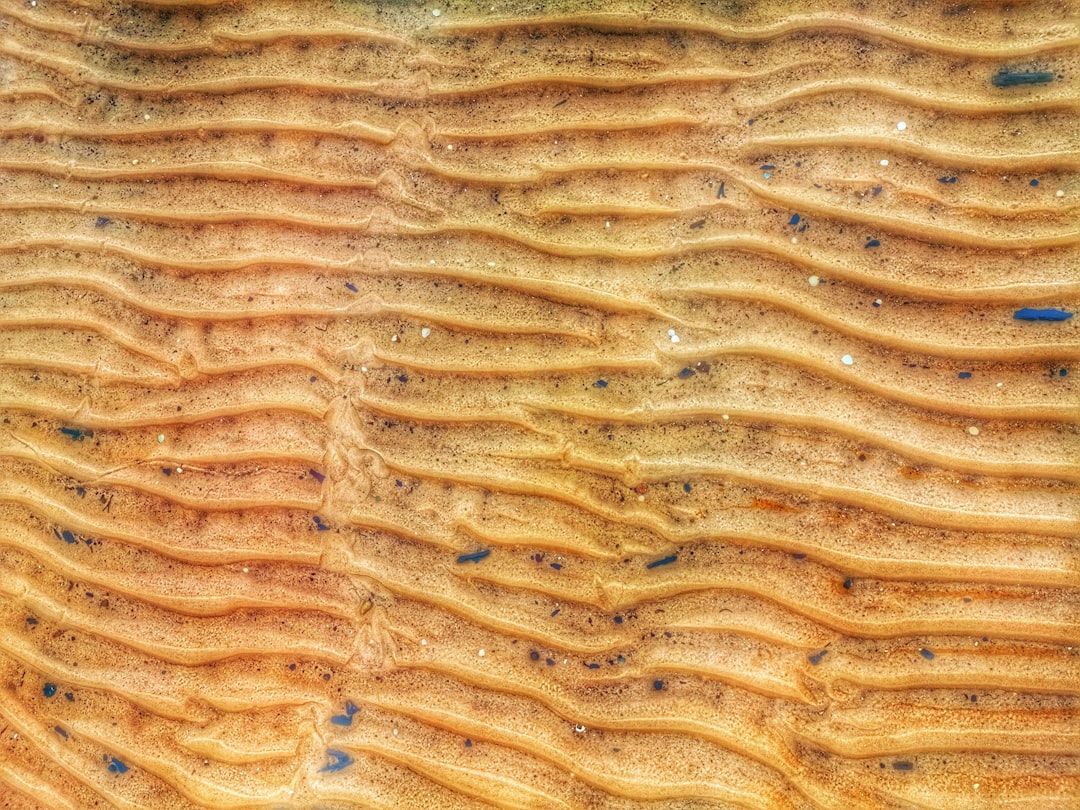 Najpopularniejsze gatunki drewna w meblarstwie: Przewodnik po materiałach